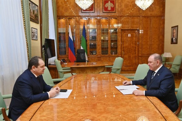 Ростислав Гольдштейн и Александр Макаренко обсудили повестку декабрьского заседания Госсовета Коми