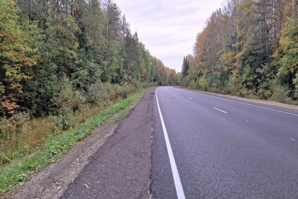 Более 11 км трассы Сыктывкар – Троицко-Печорск отремонтируют в 2026 году благодаря нацпроекту 