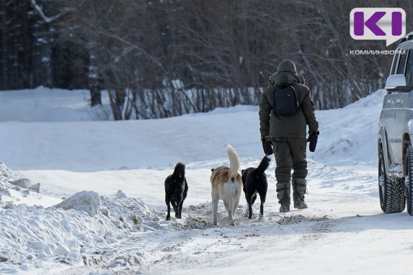 Глава СКР проконтролирует дело о нападении собаки на ребенка в Ветлосяне
