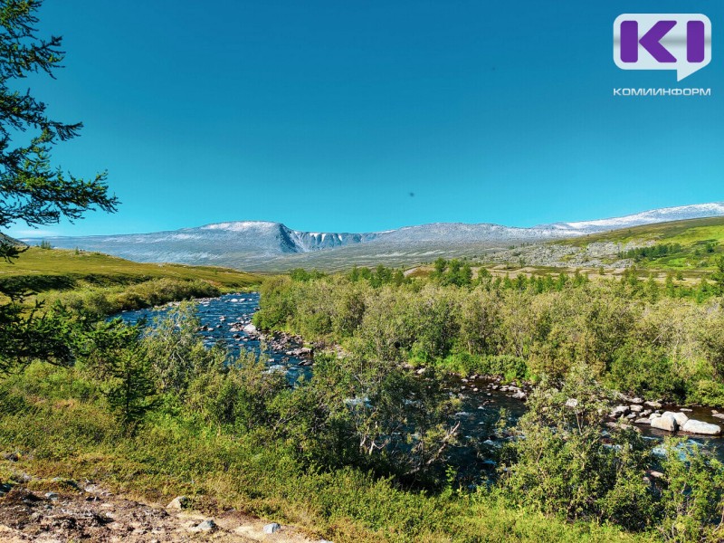 Печорская природоохранная прокуратура выявила нарушения законодательства о противодействии коррупции в деятельности Нацпарка "Югыд ва" и Печорского лесничества

