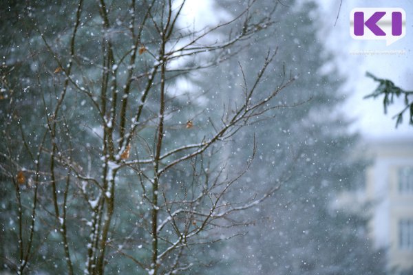 На Удорский район надвигается сильный снегопад