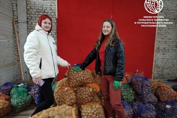 До 600 тысяч рублей поддержки: Республика Коми усиливает меры для молодых работников АПК

