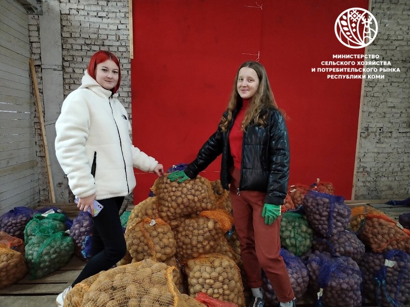 До 600 тысяч рублей поддержки: Республика Коми усиливает меры для молодых работников АПК

