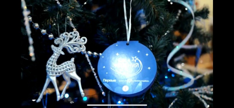 Глава Вуктыла Наталья Новикова приняла участие в ежегодной благотворительной акции "Елка желаний"