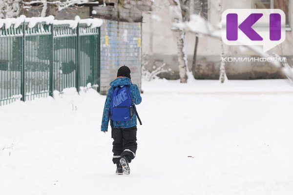 В каких городах и районах Коми объявлен актированный день