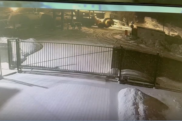 Верхсуд Коми оставил в силе приговор в отношении виновных в смерти сотрудницы лесоперерабатывающего предприятия