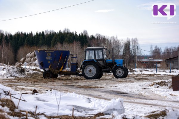15 трактористов из Сыктывкара, страдающих алкоголизмом и наркоманией, лишены прав по искам прокуратуры в 2025 году

