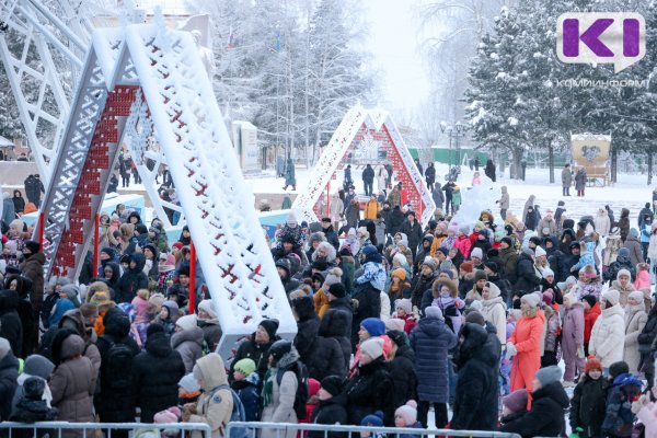 В Сыктывкаре на открытии новогодней ёлки полиция нашла четырех потерявшихся детей