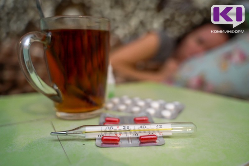 Уровень заболеваемости ОРВИ в Коми находится ниже порогового на 4,2%
