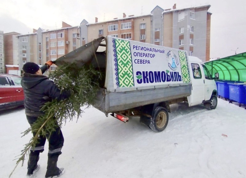 "Новогодняя ёлка: Жизнь после праздников". Региональный оператор Севера проведет акцию в Ухте и Сосногорске