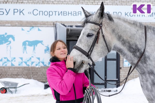 Антистресс с бархатной мордой: репортаж из конюшни под Сыктывкаром, где живет самый высокий символ года