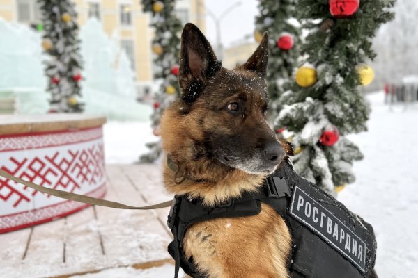 Росгвардейцы обеспечат правопорядок и безопасность жителей Коми в новогодние праздники