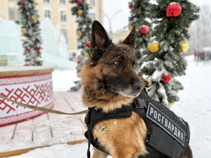 Росгвардейцы обеспечат правопорядок и безопасность жителей Коми в новогодние праздники