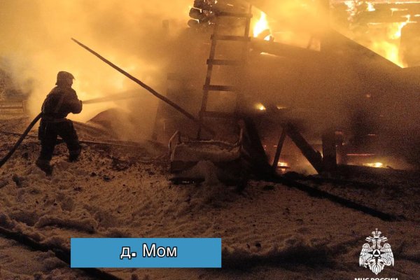 В Коми 1 января на пожарах в Коми погибли четыре человека