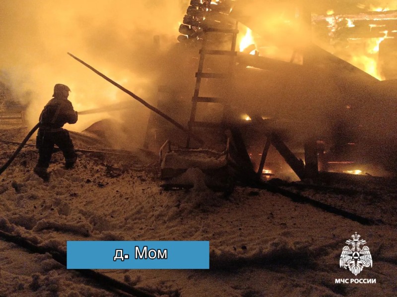 В Коми 1 января на пожарах в Коми погибли четыре человека