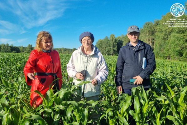 Коми пробует новые культуры для развития растениеводства и кормопроизводства
