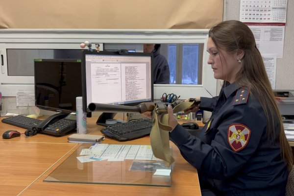 За год у жителей Коми изъяли более 3400 единиц зарегистрированного оружия