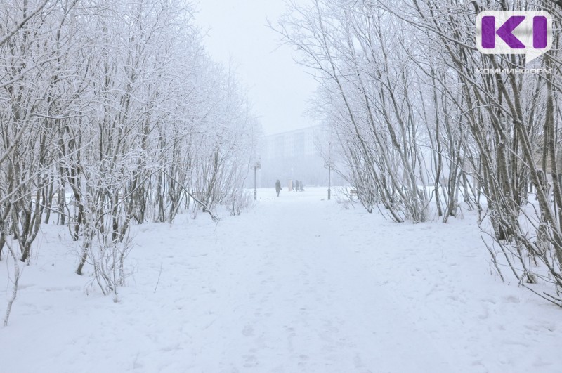 Погода в Коми 12 января: на крайнем северо-востоке до -33°С