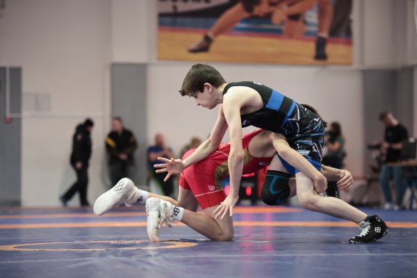 Восемь медалей завоевали вольники Коми на первенстве СЗФО в Калиниграде