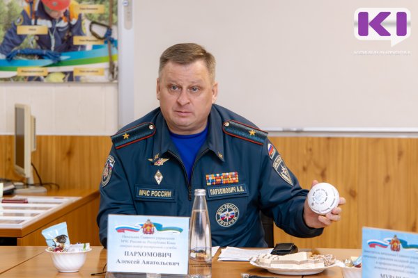 Пожарный извещатель спас семью с пятью детьми в Коми в новогоднюю ночь