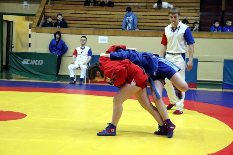 Самбисты Коми определили сильнейших на первенстве республики