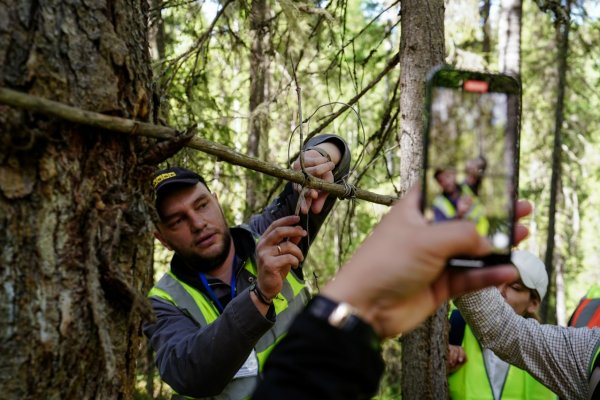 ТПП Коми приглашает на вебинар по изменениям в области использования лесов и организации правильного учета древесины во ФГИС ЛК