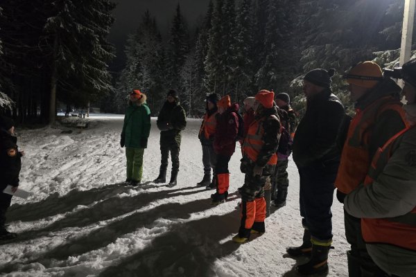 177 человек найдены живыми: 