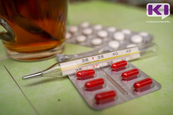 Заболеваемость ОРВИ и гриппом в Коми возросла на 38,6%