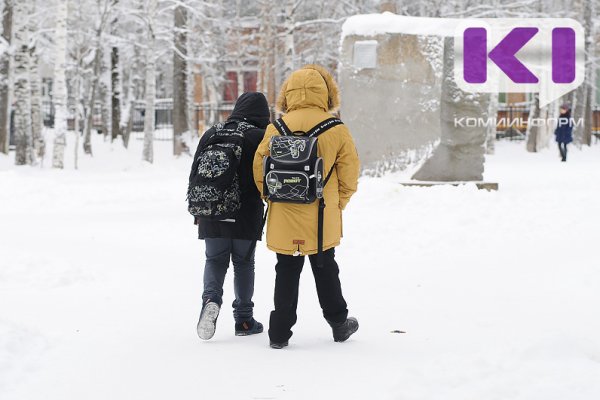 В Сыктывкаре объявлен актированный день для 1-2 классов 