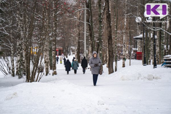 Погода в Коми 23 января: морозы сохраняются
