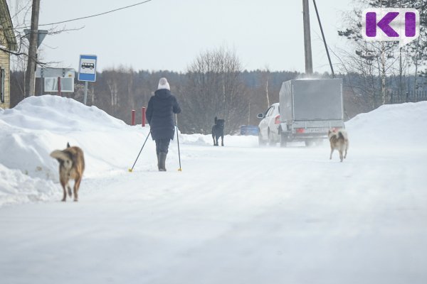 Суд взыскал в пользу жительницы Емвы 20 тысяч рублей с администрации за укус собаки