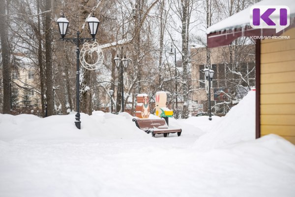 Погода в Коми 24 января: облачно, небольшой снег