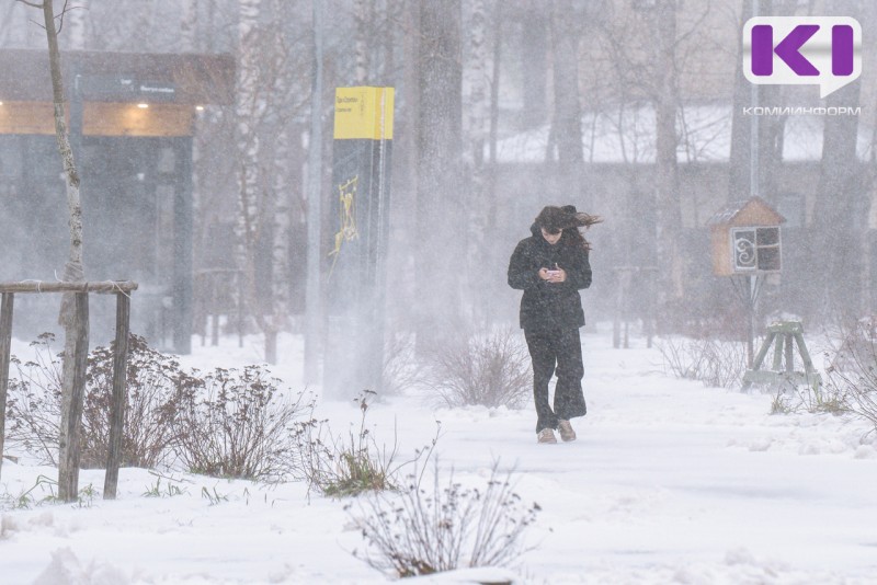 От морозов к теплу: жителей Коми на неделе ждут погодные качели 