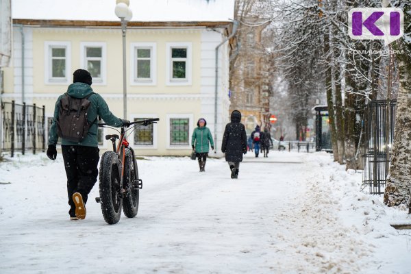 Погода в Коми 26 января: южный ветер, -14...-16°С