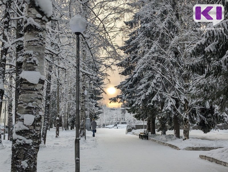 Погода в коми 27 января: умеренный снег, -14...-19°С