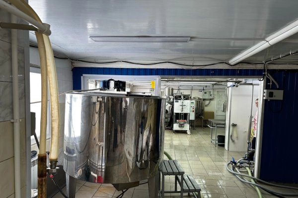 Сельское хозяйство на Крайнем Севере: кто 20 лет обеспечивает молочной продукцией жителей Печоры