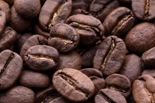 В Коми более чем в два раза перевыполнен план по экспорту