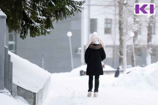 Погода в Коми 28 января: небольшой снег, в южных районах -15...-17°С