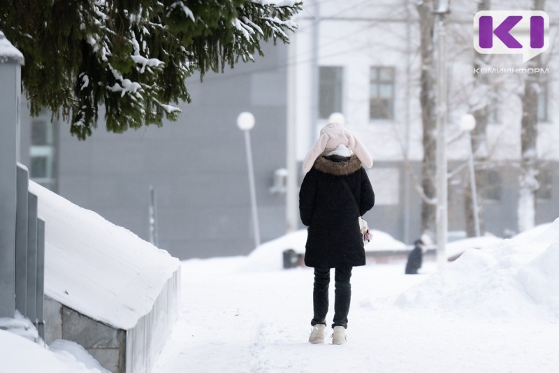 Погода в Коми 28 января: небольшой снег, в южных районах -15...-17°С