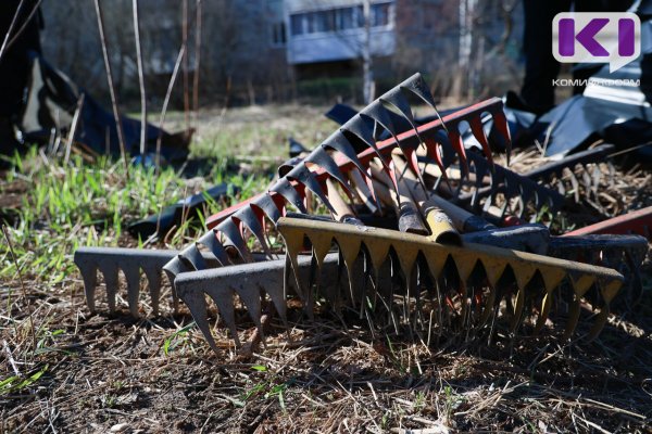 Содержание сквера в В.Максаковке обойдется в 4 млн рублей