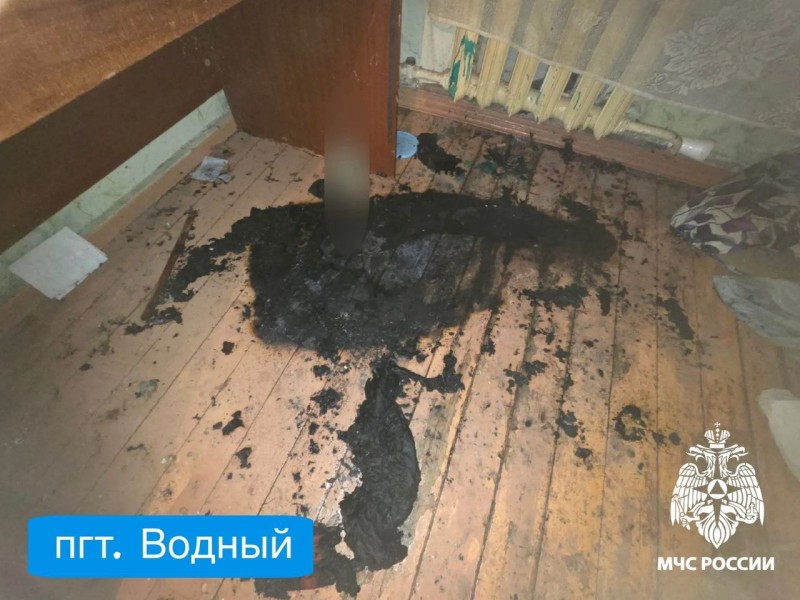 В последний день января в Коми произошло пять пожаров