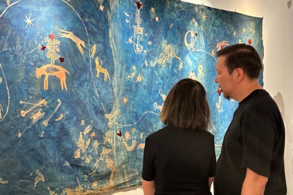 В учреждениях культуры Коми работает сервис для подтверждения статуса участника СВО через QR-код