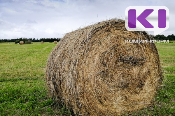 Какие проекты реализовали в сфере АПК в Сыктывкаре и Сыктывдинском районе