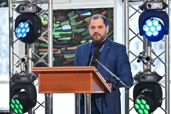 Доход, восстановление и аукционы: как меняется лесное хозяйство в Коми