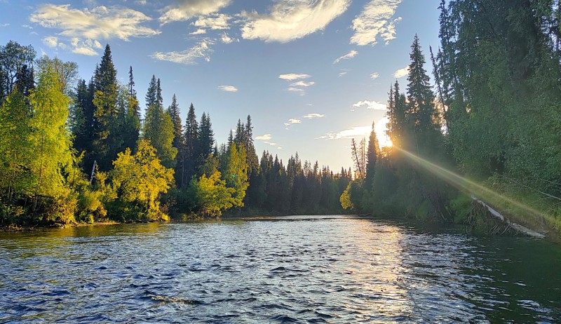 Ученые Коми подтвердили, экосистема реки Вымь в районе рудника "Боксита Тимана" на высоком уровне
