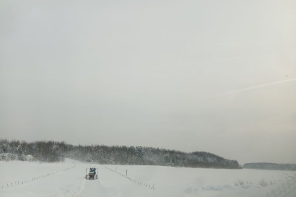 Подрядчик начал расчистку дороги до Усть-Уньи 