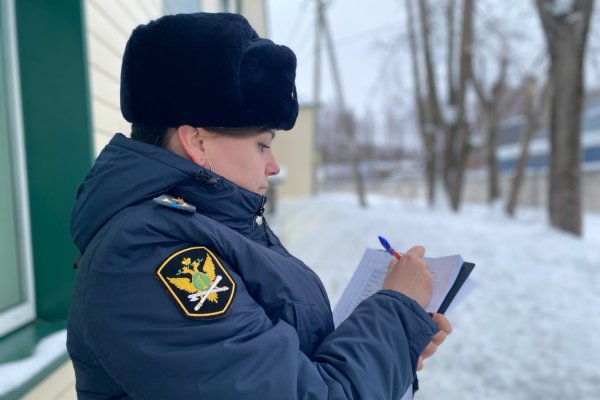 Пристав в Сыктывкаре добилась признания договора купли-продажи дачи недействительным

