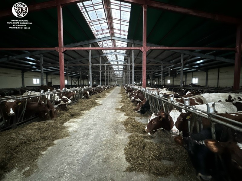 Какие инвестпроекты реализуют на трех агропредприятиях Коми