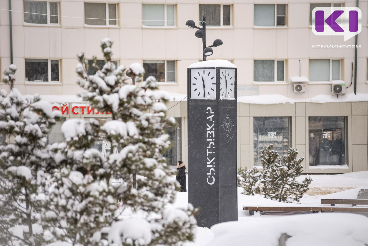 Погода в Коми 9 февраля: небольшой снег, на крайнем северо-востоке временами туман