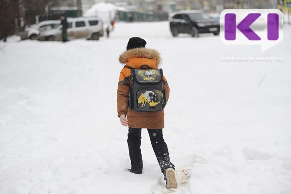 В южных районах Коми для школьников объявлен актированный день